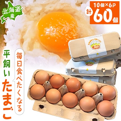 【北海道産】毎日食べたくなる平飼いたまご60個