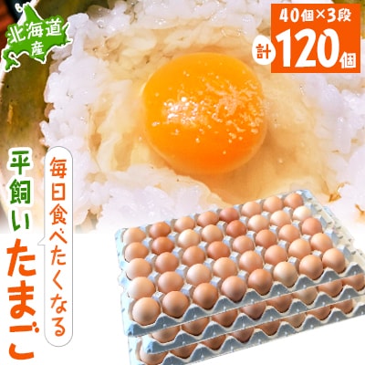 【北海道産】毎日食べたくなる平飼いたまご120個