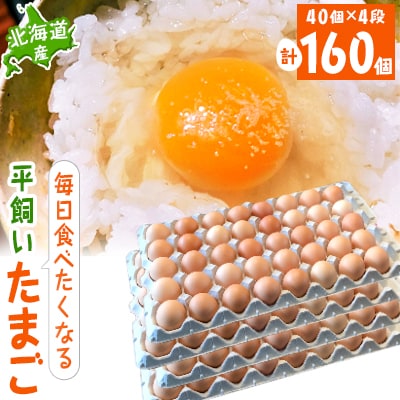 【北海道産】毎日食べたくなる平飼いたまご160個