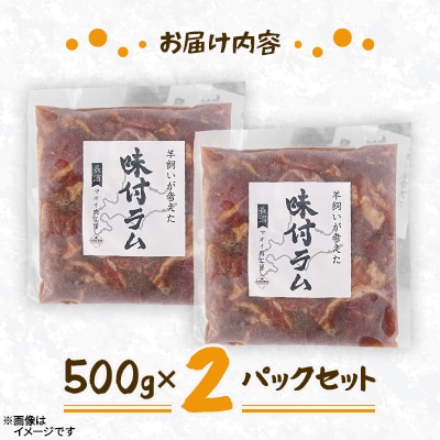 【北海道長沼町】味付ラムジンギスカン　500g×2パックセット