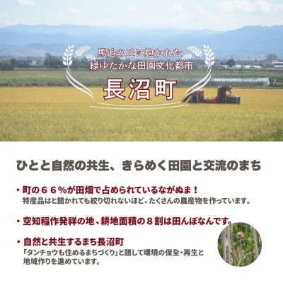 【令和7年産・無洗米・真空パック】長沼町産ゆめぴりか 2kg×3袋