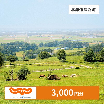 【じゃらんふるさと納税クーポン】 北海道長沼町でつかえる3,000円 クーポン