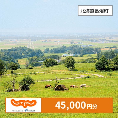 【じゃらんふるさと納税クーポン】 北海道長沼町でつかえる45,000円 クーポン