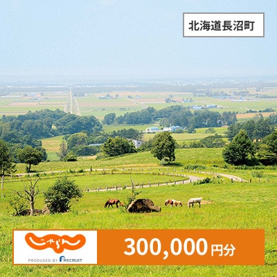 【じゃらんふるさと納税クーポン】 北海道長沼町でつかえる300,000円 クーポン