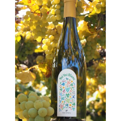 白ワインYoi Yoi Blancu0026ジュース2本セット【オサワイナリーの畑で収穫 