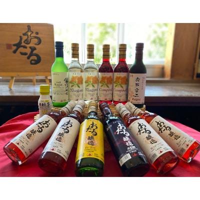 ハーフバラエティーワイン12本+ビネガードリンク「ナイ酢」100ml×1本　計13本セット