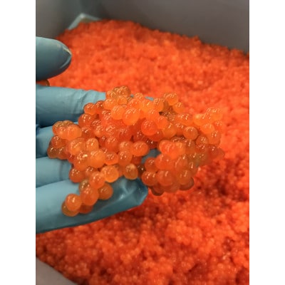 北海道礼文島産秋鮭卵　いくら醤油漬270g(90g×3)(小粒)