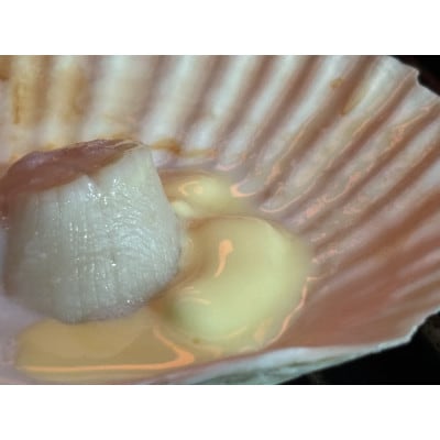 北海道産帆立玉冷 300g