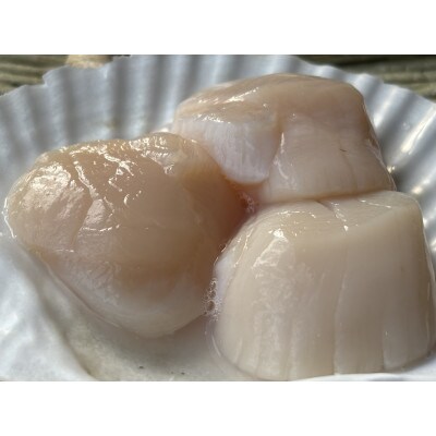 北海道産帆立玉冷 600g