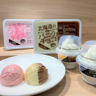 北海道産乳製品100%使用　さくら食品　バラエティアイスセット2