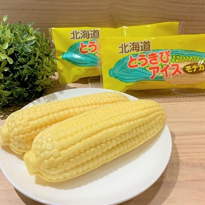 北海道とうきびアイスモナカ10本セット
