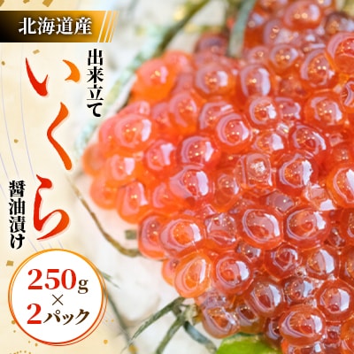北海道産出来立ていくら醤油漬け　250gx2パック