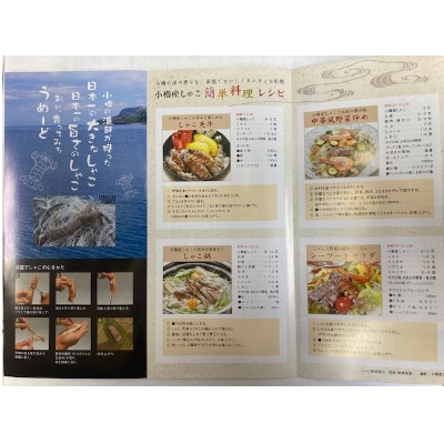 小樽産しゃこはなまら大きくてびっくり! 秋の新物始まりました浜茹でしゃこ オス24尾メス24尾セット