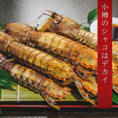 小樽産 浜茹でしゃこ オス5尾×2パック・メス5尾×2パック しゃこを刺身・天ぷら・海鮮丼の具に!