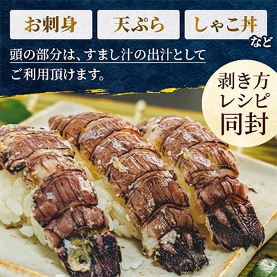 小樽産 浜茹でしゃこ オス5尾×2パック・メス5尾×2パック しゃこを刺身・天ぷら・海鮮丼の具に!