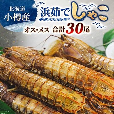 小樽産 浜茹でしゃこ オス5尾×3パック・メス5尾×3パック しゃこを刺身・天ぷら・海鮮丼の具に!