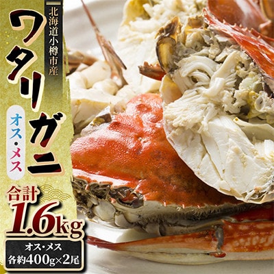 北海道小樽市産 ワタリガニ　オス・メス各約400g×2尾 合計1.6kg チゲ鍋やパスタに合う!
