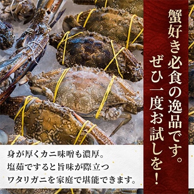 北海道小樽市産 ワタリガニ　オス・メス各約400g×2尾 合計1.6kg チゲ鍋やパスタに合う!