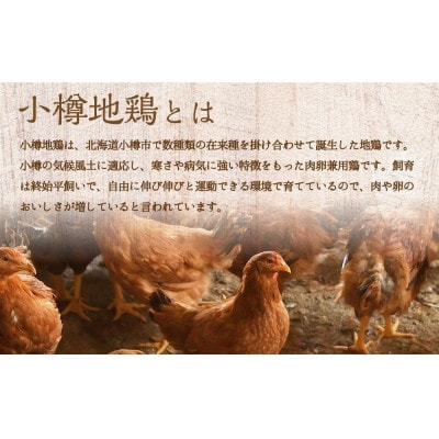 小樽地鶏のハンバーグ 150g×20パック 計3kg