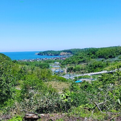 【令和3年産】北海道小樽産 ゆめぴりか 精米と玄米 各3kgセット 《おたる木露ファーム》