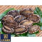 漁師直送、北海道産活蝦夷アワビ(10個～12個)