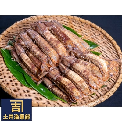 小樽産 漁師直送 浜茹でシャコ(冷凍)、オス25匹 メス25匹