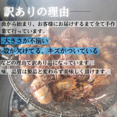 【訳あり】北海道小樽産 漁師直送浜茹でシャコ(冷凍)オス・メス各30匹