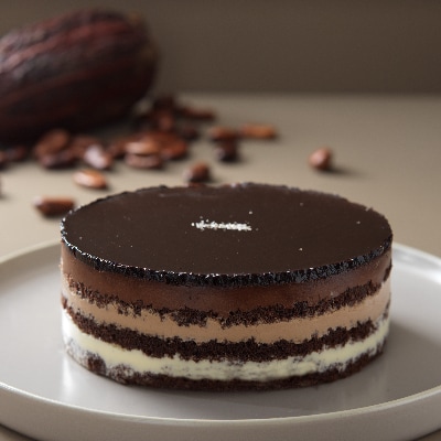 【2023年2月上旬発送】ルタオ魅惑のチョコレート3種セット(ルタオヌーベルバーグ店限定セット)