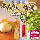 【小樽 田中酒造】本みりん・梅酒 500ml　2本セット