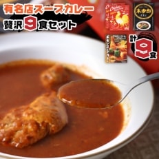 有名店スープカレー贅沢9食セット