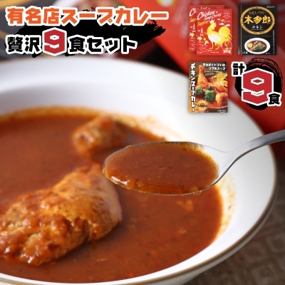 有名店スープカレー贅沢9食セット