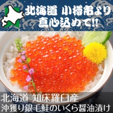 北海道 小樽発　知床羅臼産 いくら醤油漬け　C(0080234)