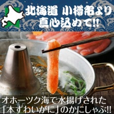 北海道　小樽発　本ずわいのかにしゃぶ　H(0080443) | ふるさと納税のお礼品