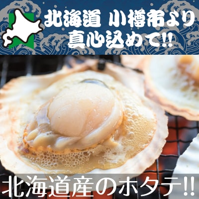 北海道 小樽発　北海道産 帆立片貝　B(0080225)