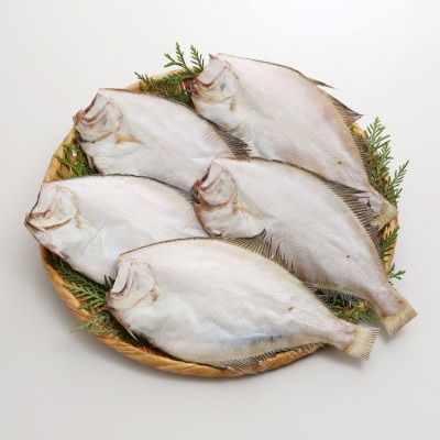 【佐藤水産】宗八かれい　5枚入り(干物)　北海道小樽市返礼品