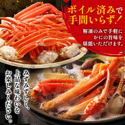 ズワイガニ足 ボイル済み 約2kg 北海道 小樽市