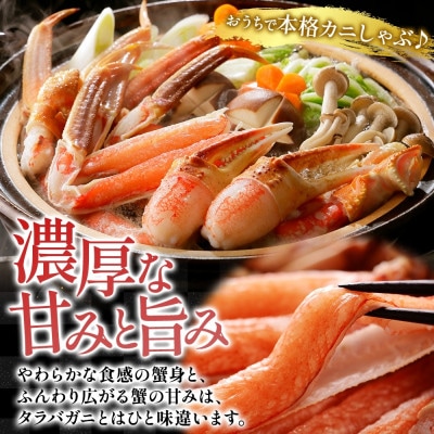 蟹ズワイしゃぶ 約1kg 3～4人前 生食可 かに 蟹 ずわいがに 北海道 小樽市