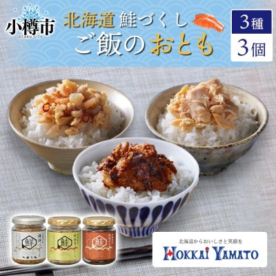 北海道 鮭瓶3種 計3個 海鮮づくし 北海大和