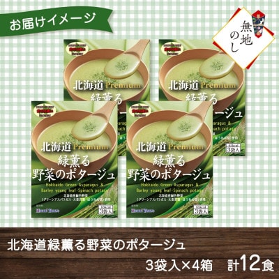 【無地熨斗】北海道緑薫る野菜のポタージュ 3袋入×4箱 計12食