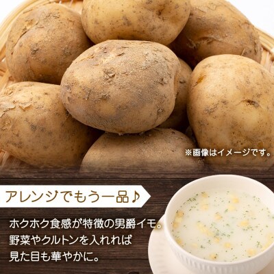 【無地熨斗】北海道男爵いもクリームスープ 3袋入×4箱 計12食