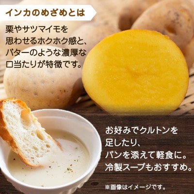 熨斗 北海道インカのめざめポタージュ 3袋×4箱 12食入り