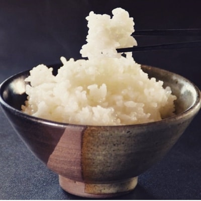 いいスタイル コシヒカリ 三田市 ふるさと納税 ふるさと納税 三田市波豆川産コシヒカリ 軍ちゃんのお米 5kg 2 三田市 米 雑穀 粉類 Weareonecf Com