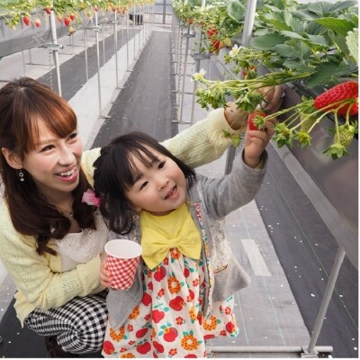 椎茸狩りバーベキュー 味覚狩り体験券付 ペア お礼品詳細 ふるさと納税なら さとふる