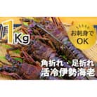 バタバタしたら角と足がとれちゃいました　活冷伊勢えび 約1kg〈訳あり(不揃い)〉【CC21】