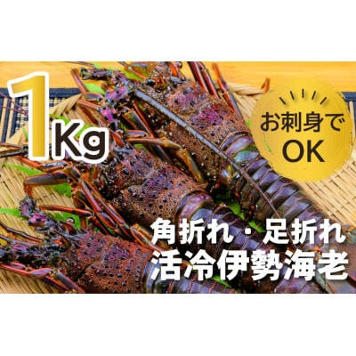 バタバタしたら角と足がとれちゃいました　活冷伊勢えび 約1kg〈訳あり(不揃い)〉【CC21】