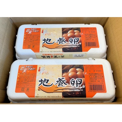 地養卵20個セット【10個×2パック】たまごかけごはんにおすすめの卵 [RA16]