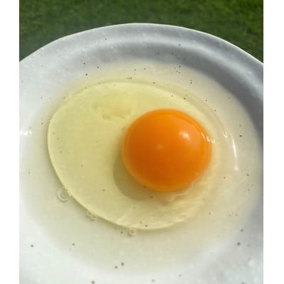 地養卵20個セット【10個×2パック】たまごかけごはんにおすすめの卵 [RA16]