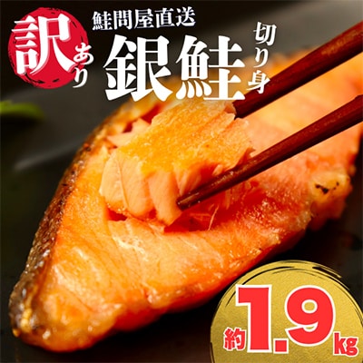 鮭問屋【訳あり】銀鮭切り身〈1.9kg〉大人気 家計応援 不揃い 直送【MS05】