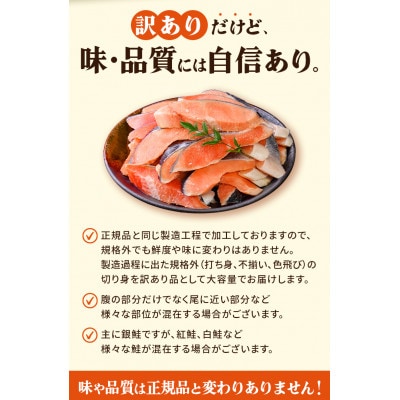 【訳あり】塩鮭切身《3kg》大人気 家計応援 不揃い 切り身 直送【MS07】
