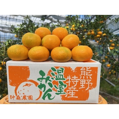 【2026年7月以降配送】仲森農園の「温室みかん」(2.5kg)